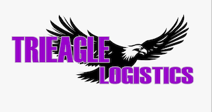 Eagle Inc logo